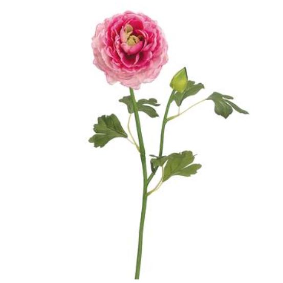 FSR167-CE/PK (24723) - Ranunculus Spray 19" Ce/Pink