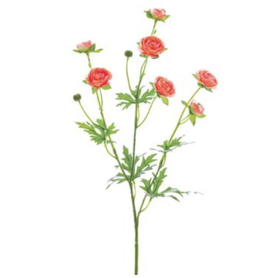 FSR322-PE (23464) - Mini Ranunculus Spray 22" Pe