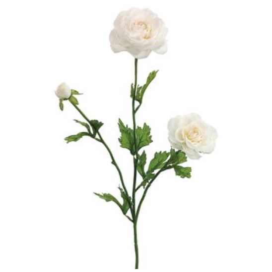 FSR502-CR (12903) - Ranunculus Spray 27" Cream