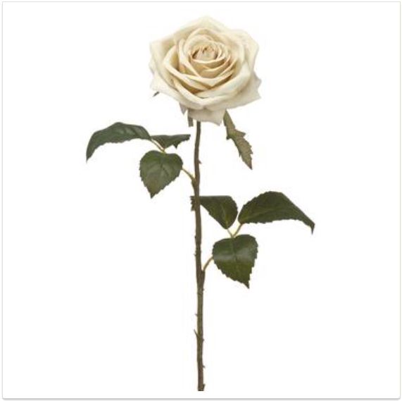 FSR729-ES (30194) - 21.5" Rose Spray Es