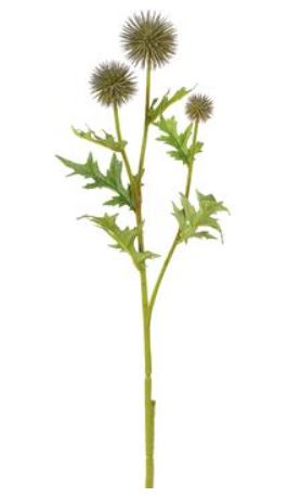 FST604-GY/GR (30477) - Thistle Globe 28" Spray Grey/Green