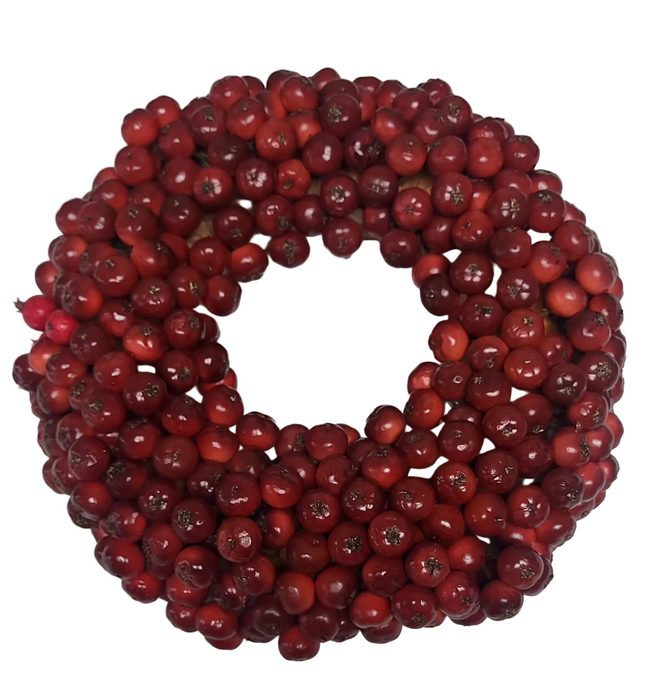 FWB103-RE (25163) - Rosehip Wreath 10'' Red REG $49.90