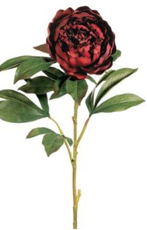 GTP025-BU (30197) - 30" Peony Spray X1 Bu