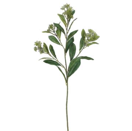 GTS104-GR (30272) - Skimmia Spray Gr 28.5"