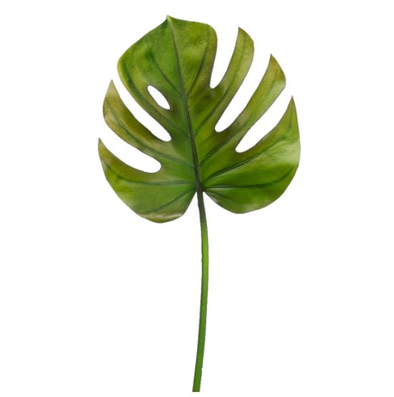 HSL419-GR/BU (30913) - Split Philo Leaf 26"