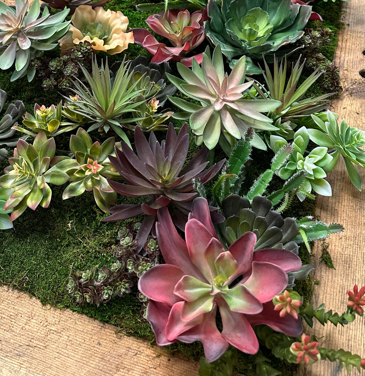 All D Stevens Ribbon Designer Flower Center LLC all-d-stevens-ribbon-designer-flower-center-llc