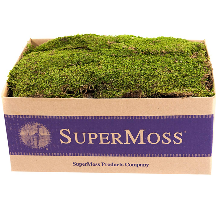 21508 (10481) - Moss Sheet Preserve 3Lb