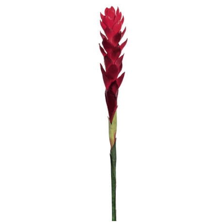 JYG153-RE (11415) - Hawaiian Ginger Spray X1 30" Red