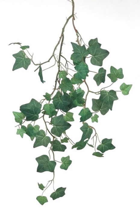 K388 (27174) - Ivy Stem 32" Green