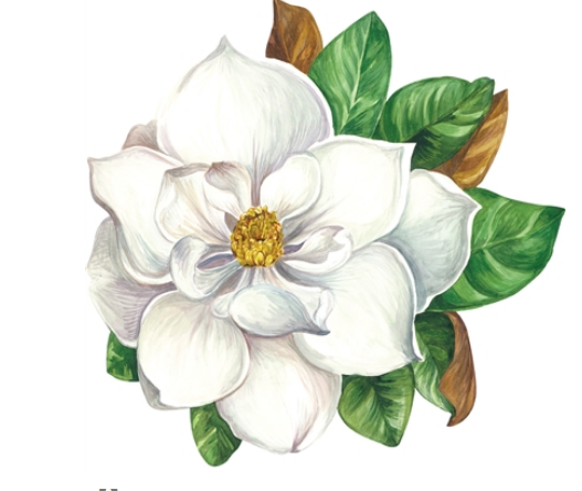 KP1236 (33) - Placemat Die Cut Magnolia 12 Sheet
