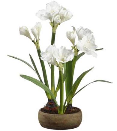 LFA047-WH (30630) - Amaryllis W/Bulb In Cont 29" Wh