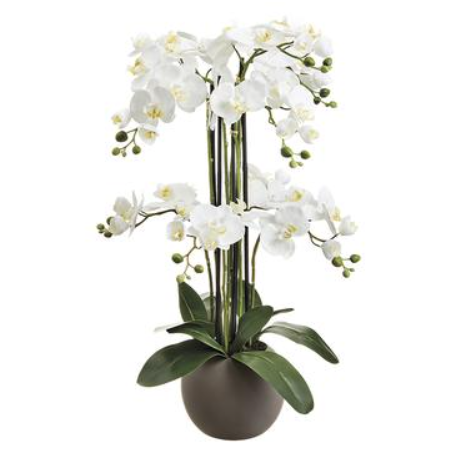 LFO008-WH (30278) - Phalaenopsis Plant X9 Wh 33.5"