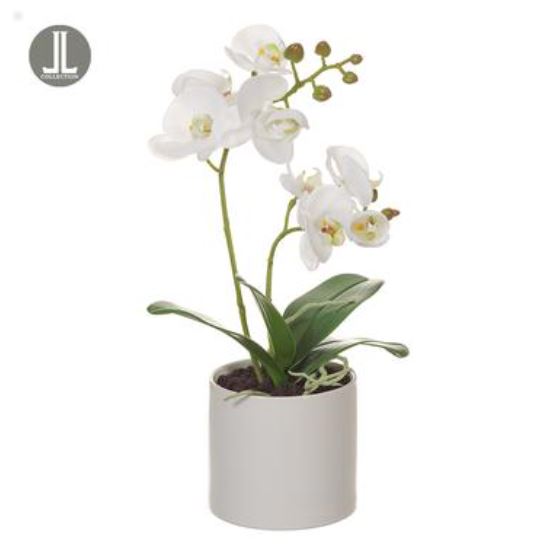 LFO355-WH (32283) - Phalaenopsis Plant White In Ceramic White Vase 15"