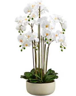 LFO436-WH (27112) - Phalaenopsis Plant X7 39" Wh