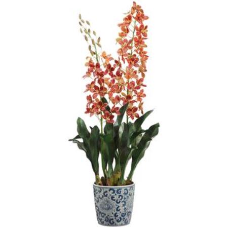 LFO630-BU (29133) - Grammatophylum Plant Bur 40"
