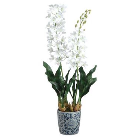LFO630-WH (30537) - Grammatophylum Plant Wh 40"
