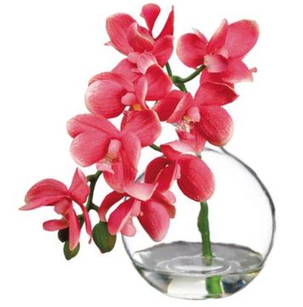 LFO956-PK (25846) - Phalaenopsis In Glass 10"