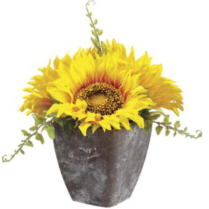 LFS439-YE (24711) - 6.5" Sunflower In Pot
