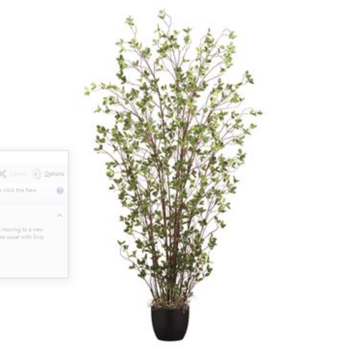 LP0009-GR (29109) - Mini Leaf Plant Gr In Pot 72"