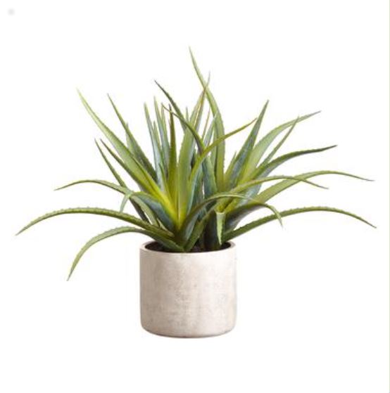 LPA087-GR (32285) - Aloe Plant In Cement Pot Green 21"
