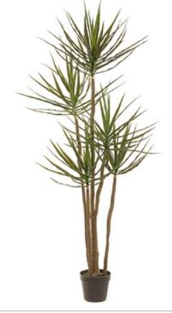 LPD735-GR (30403) - 72" Dracaena Tree In Pot