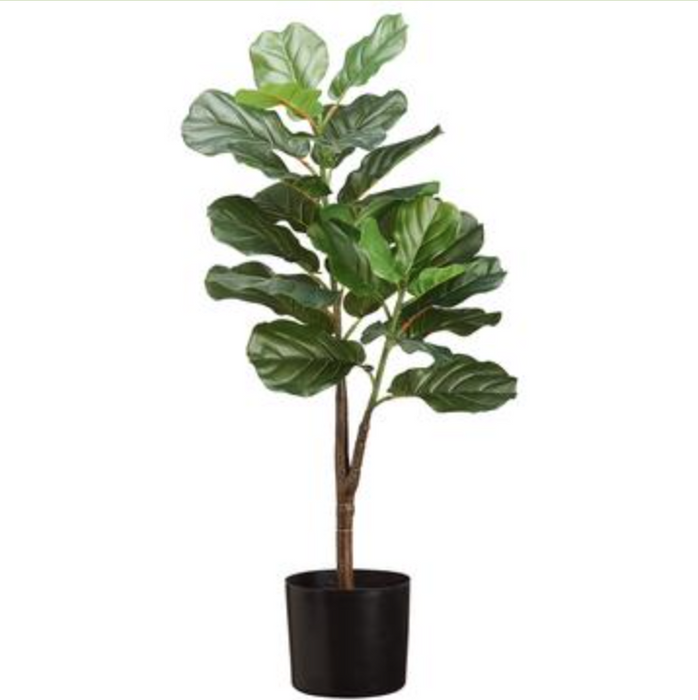 LPF452-GR (29111) - Fiddle Leaf Plant In Planter Pot 3'