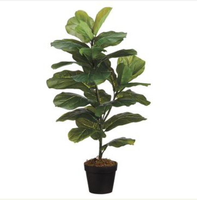 LPF803-GR (28248) - 31.5" Fiddle Leaf Plant In Pot