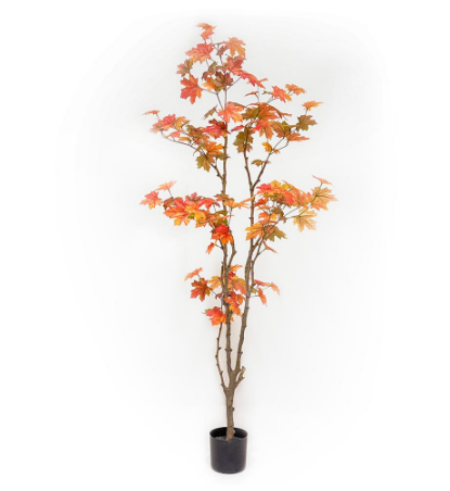 LPM251-OR (11304) - Maple Tree With Plastic Pot 6' Orange