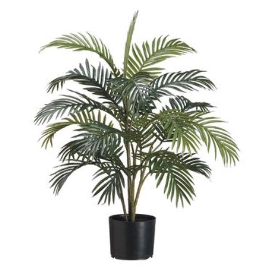 LPP950-GR (30585) - Areca Palm Tree 3Ft
