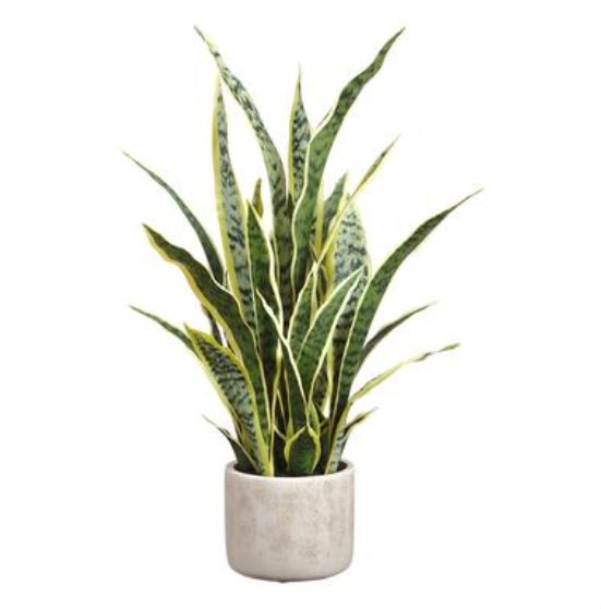 LPS245-VG (32286) - Sansevieria Plant In Cement Pot Variegated Green Cream 28"