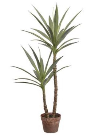 LPY460-GR (29880) - 44" Yucca Tree In Pot Gr