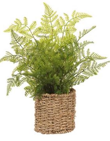 LQF029-GR (30425) - 15" Leather Fern In Basket