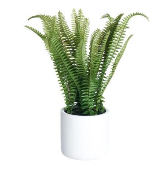 LQF088-GR (32288) - Fern In Poly Resin  White Pot Green 14"