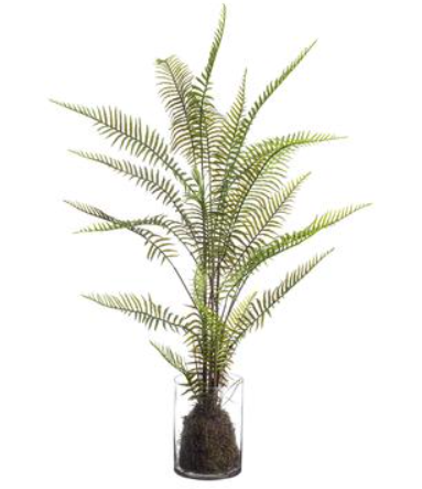 LQF105-GR (28112) - Sword Fern In Glass Vase 39"