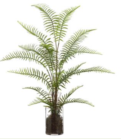 LQF112-GR (28113) - Sword Fern In Glass Vase 29"