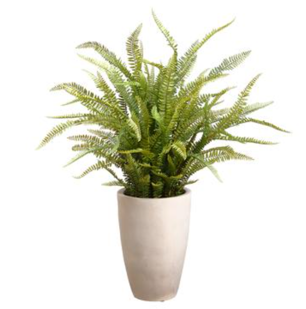 LQF140-GR (28249) - 46" Sword Fern In Mgo Pot Gr