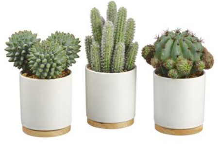 LQS620-GR/GY (28116) - Bar/Col Cactus 3/St 5.7"-7.5" Set/3 REG $74.90