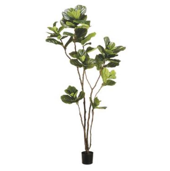 LTF007-GR (30832) - Eva Fiddle Leaf Tree In Pot 7Ft