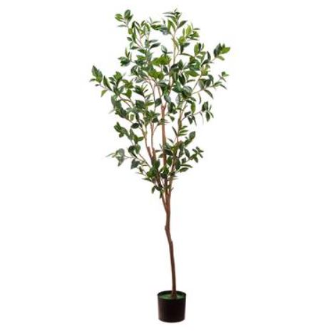 LTL113-GR (30950) - Laurel Tree Plastic Pot Gr 72"