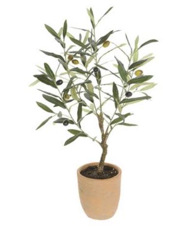 LTO138-GR (30836) - Olive Tree In Cement Pot 26"