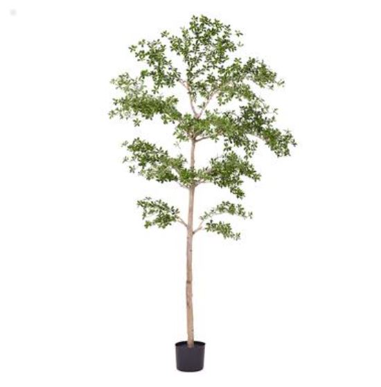LTP931-GR (32289) - Shady Lady Tree In Pot Green 9'