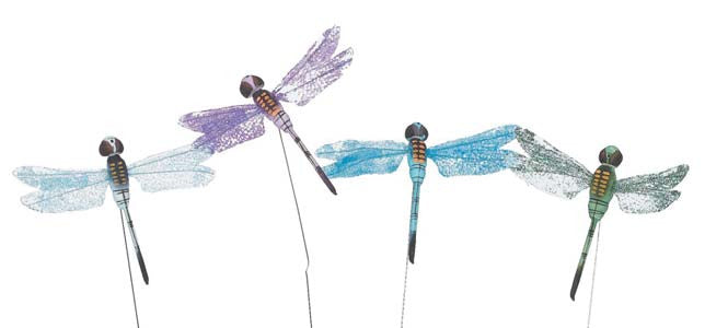 9-331/1-DF (13527) - Dragonfly Pick 3.25" 12/Bx