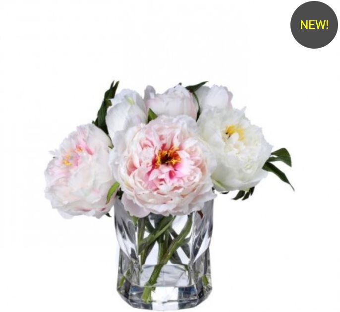 MTF24384-CRBL (31450) - Sarah Bernhardt Peony Cream Blush 10"