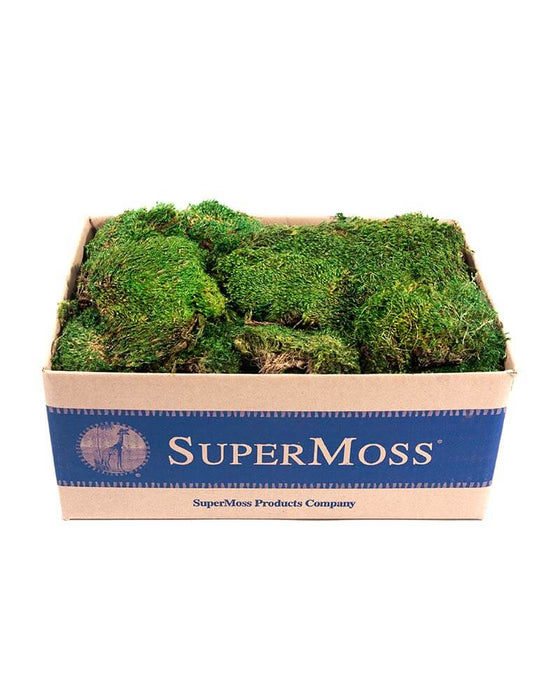 21538 (40018) - Mood Moss Preserve 3Lb Box