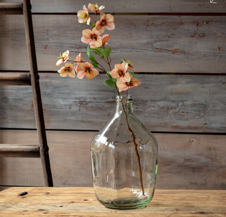 PHDFLW240092 (00452) - Hellebore Coral 27.2" Pink N