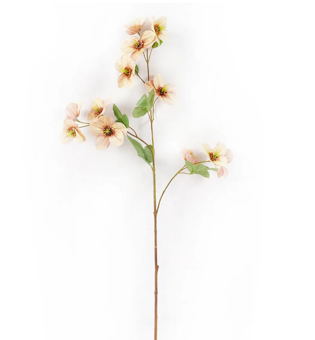 PHDFLW240092 (00452) - Hellebore Coral 27.2" Pink N