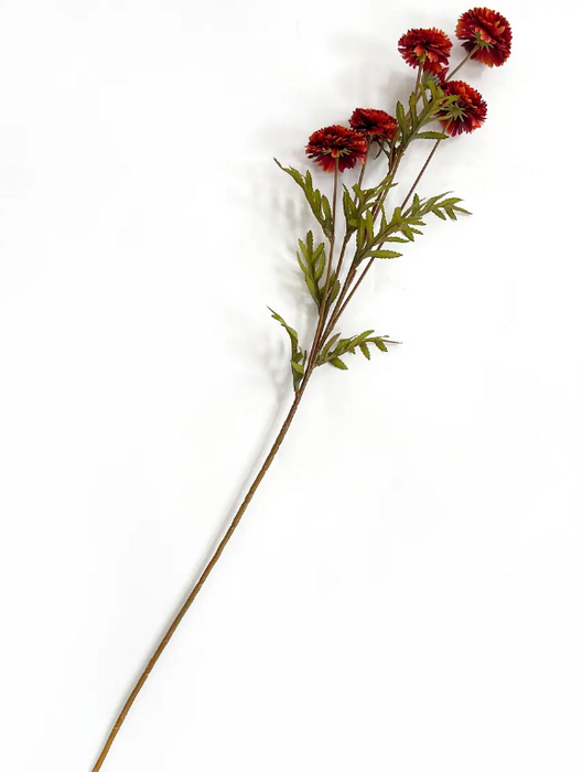 PHDFLW240325 (00451) - Aster Rust 27" Red N