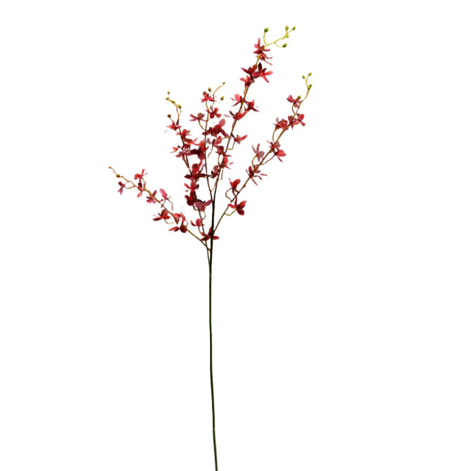 PHDFLW240437 (00454) - Garden Orchid Coral 42" N