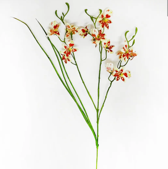 PHDFLW240485 (00448) - Wild Orchid Speckled 28" Orange N