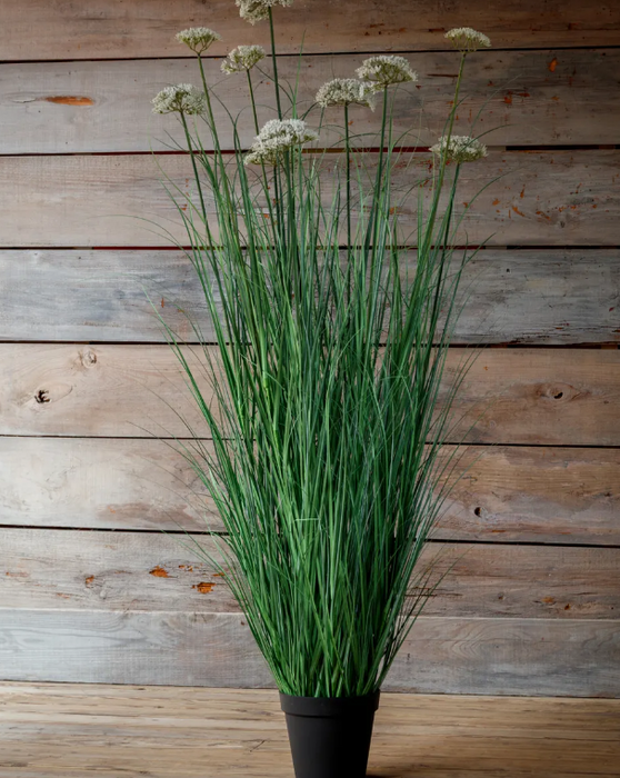 PHDFLW250966 (11614) - Potted Queensland Grass 67"